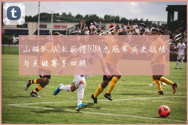 山猫队从未获得NBA总冠军历史战绩与关键赛季回顾