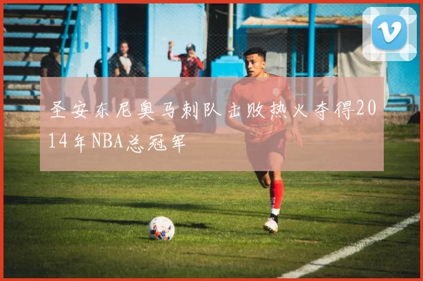 圣安东尼奥马刺队击败热火夺得2014年NBA总冠军