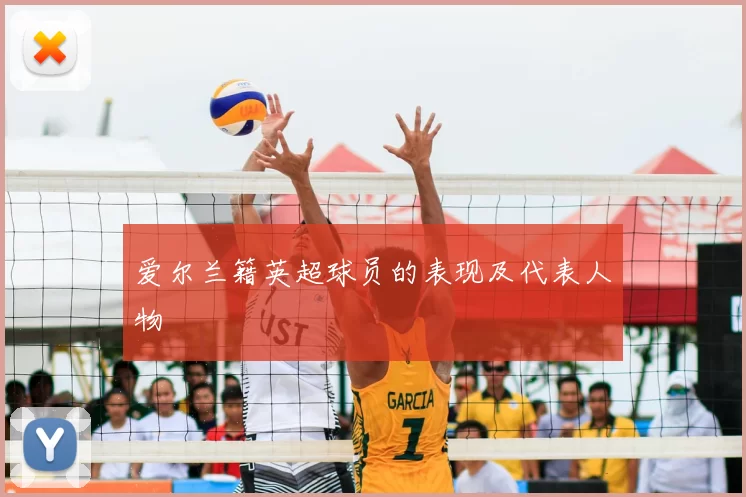 爱尔兰籍英超球员的表现及代表人物