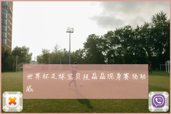 世界杯足球宝贝桂晶晶现身赛场助威