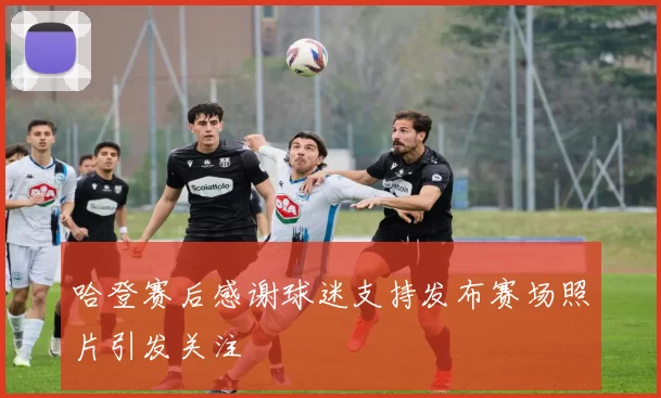 哈登赛后感谢球迷支持发布赛场照片引发关注