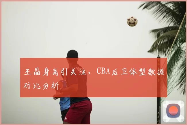 王晶身高引关注，CBA后卫体型数据对比分析