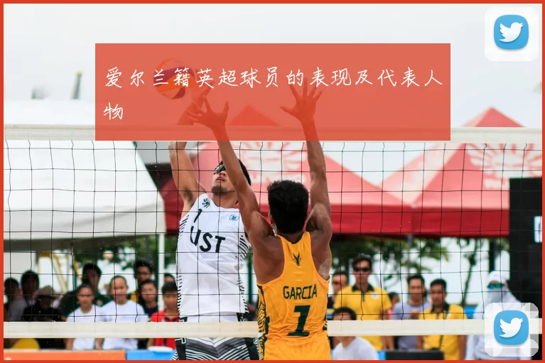 爱尔兰籍英超球员的表现及代表人物