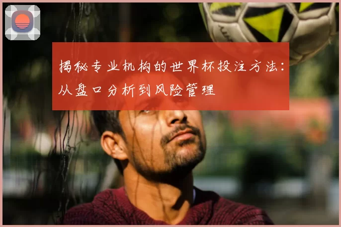 揭秘专业机构的世界杯投注方法：从盘口分析到风险管理