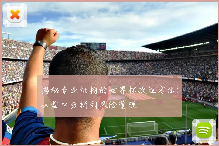 揭秘专业机构的世界杯投注方法:从盘口分析到风险管理