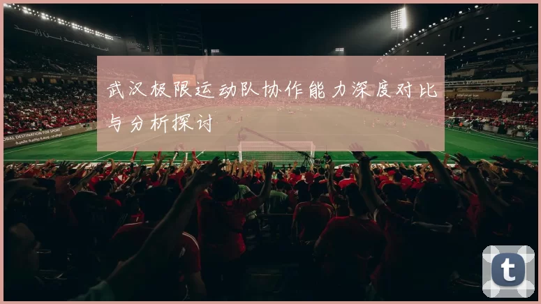 武汉极限运动队协作能力深度对比与分析探讨