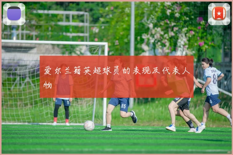 爱尔兰籍英超球员的表现及代表人物