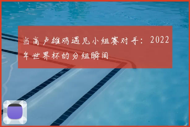 当高卢雄鸡遇见小组赛对手：2022年世界杯的分组瞬间