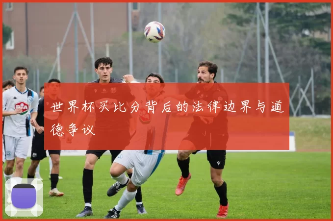 世界杯买比分背后的法律边界与道德争议