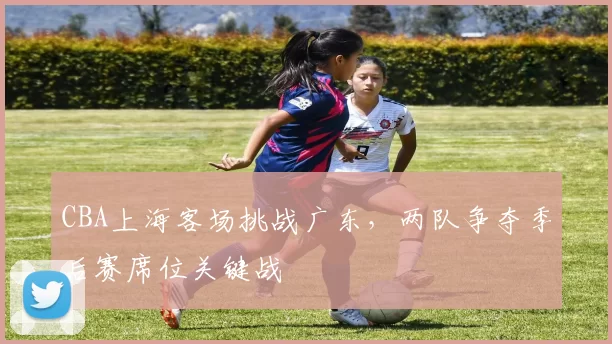 CBA上海客场挑战广东，两队争夺季后赛席位关键战