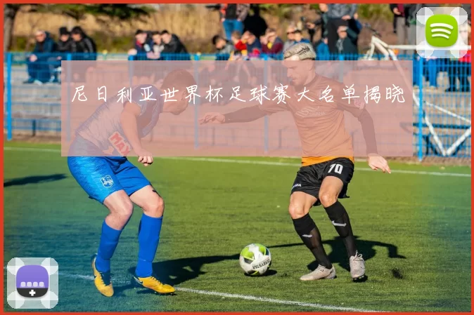 尼日利亚世界杯足球赛大名单揭晓