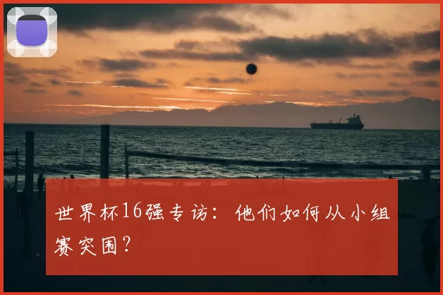 世界杯16强专访：他们如何从小组赛突围？