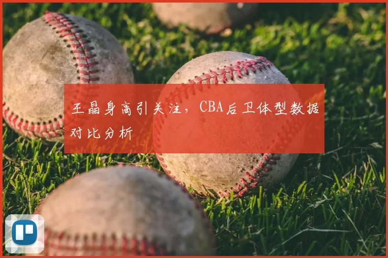 王晶身高引关注，CBA后卫体型数据对比分析