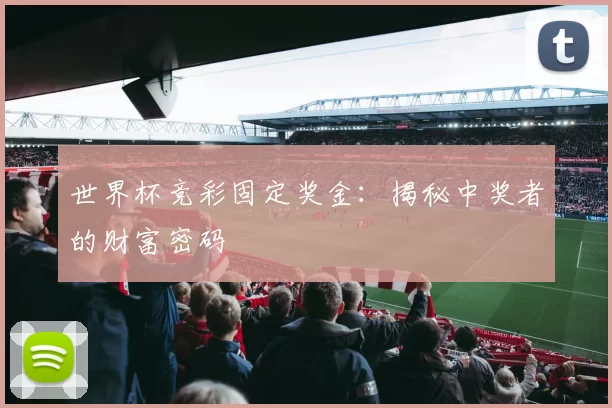 世界杯竞彩固定奖金:揭秘中奖者的财富密码