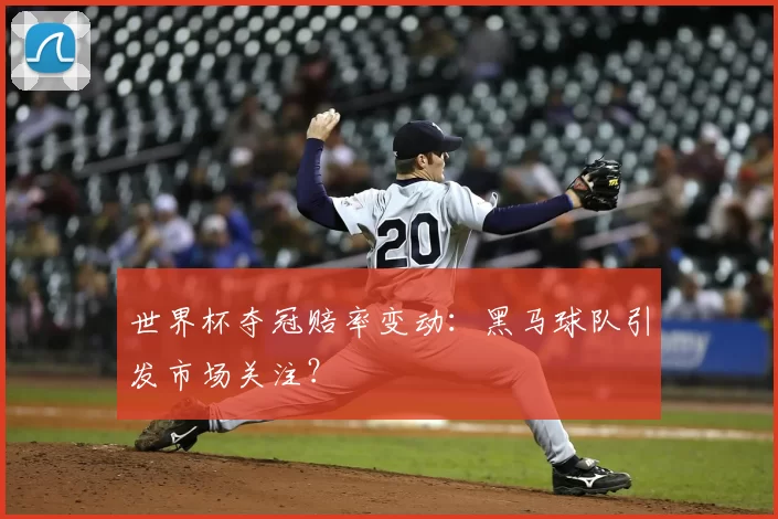 世界杯夺冠赔率变动:黑马球队引发市场关注?