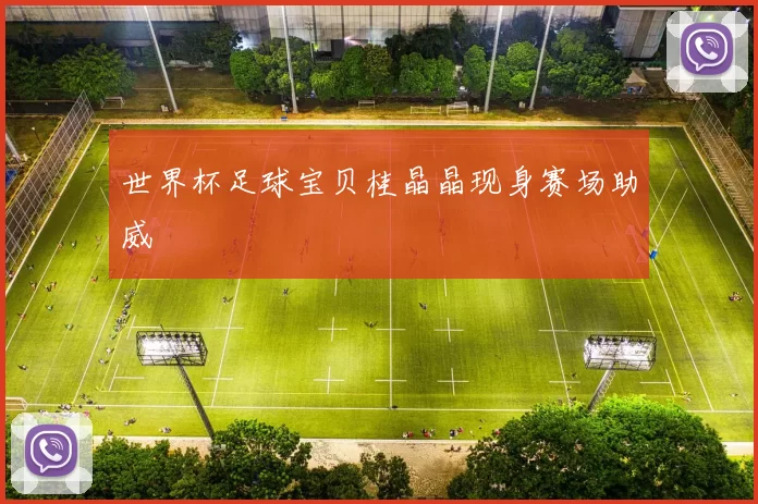 世界杯足球宝贝桂晶晶现身赛场助威