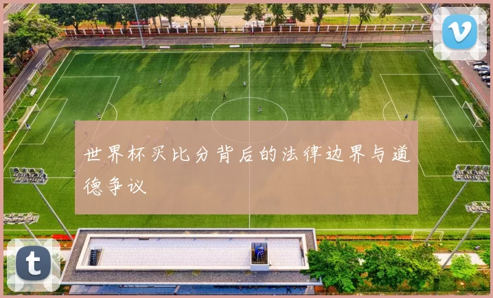 世界杯买比分背后的法律边界与道德争议