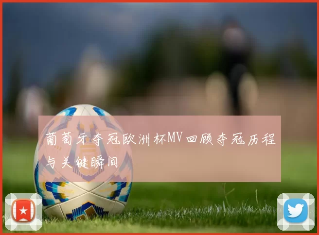葡萄牙夺冠欧洲杯MV回顾夺冠历程与关键瞬间