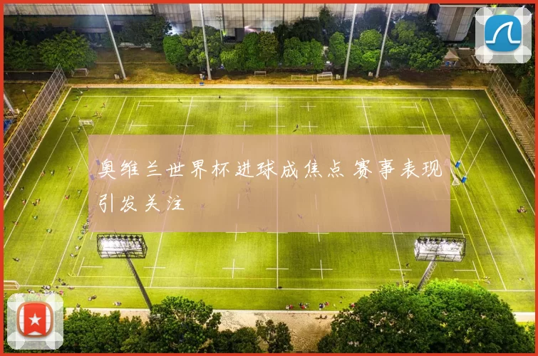 奥维兰世界杯进球成焦点 赛事表现引发关注
