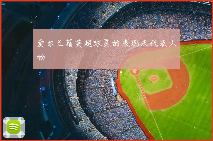 爱尔兰籍英超球员的表现及代表人物