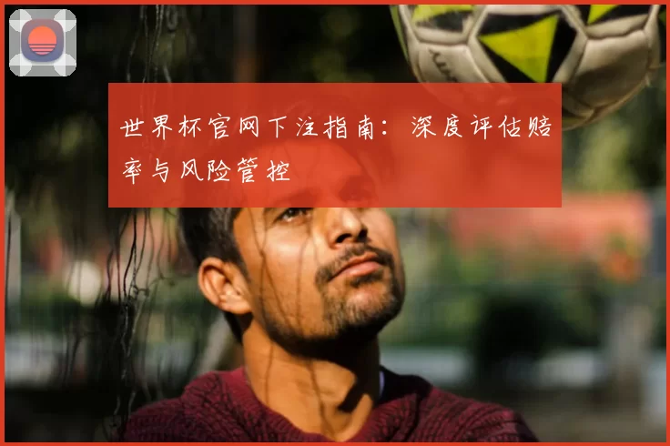 世界杯官网下注指南：深度评估赔率与风险管控